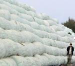 �� ��������� ����� �� �������