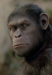 Снимките на продължението на “Възходът на планетата на маймуните” се планират за края на това лято